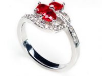 幸運草之紅寶石